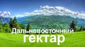 Жители Свердловской области могут принять участие в программе  &quot;Дальневосточный гектар&quot;