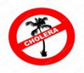 Холера - пути заражения и меры профилактики