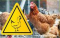 Об ограничительных мероприятиях, связанных с угрозой распространения высокопатогенного гриппа птиц на территории МО Баженовское сельское поселение
